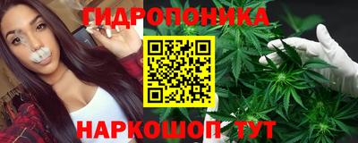 PSILOCYBIN Кулебаки