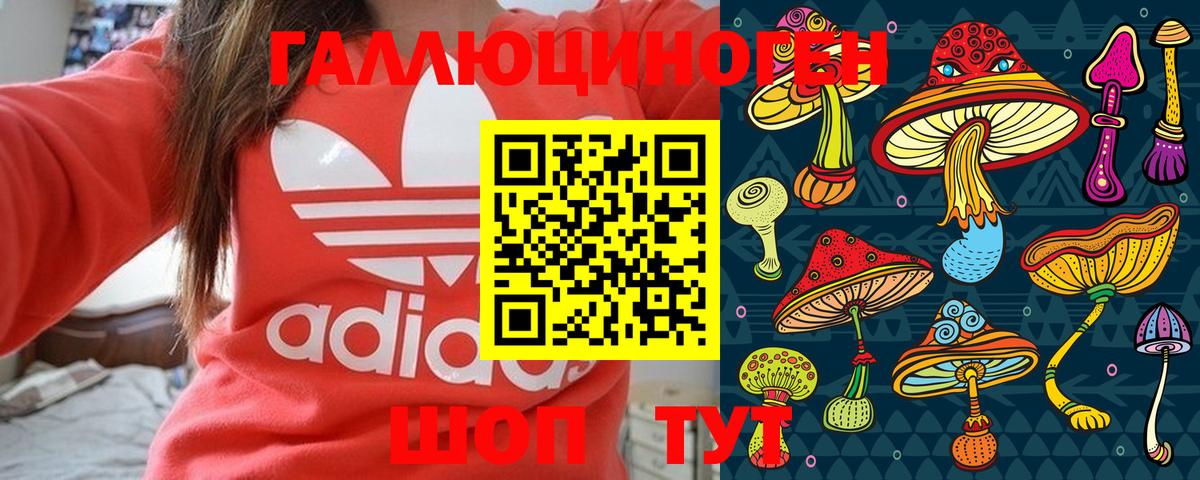 Псилоцибиновые грибы Psilocybine cubensis Дубна